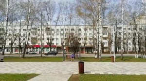 Мир! Труд! Май! Берёзы в платьях