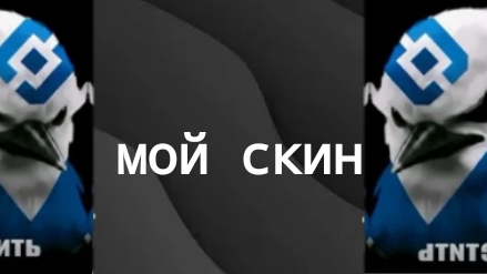 МОЙ СКИН