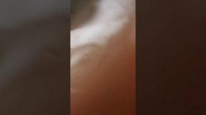 VID_20260501_194058.mp4