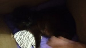 1000004959.mp4
