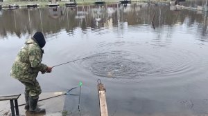 Светлые Горы Форель3 01.05.2026г.