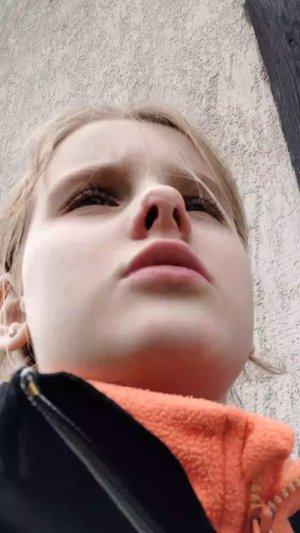 ,,,