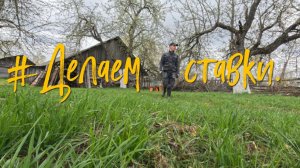 Делаем ставки.