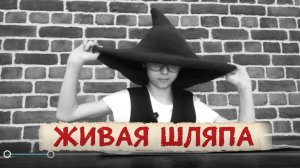 Живая шляпа | Николай Носов