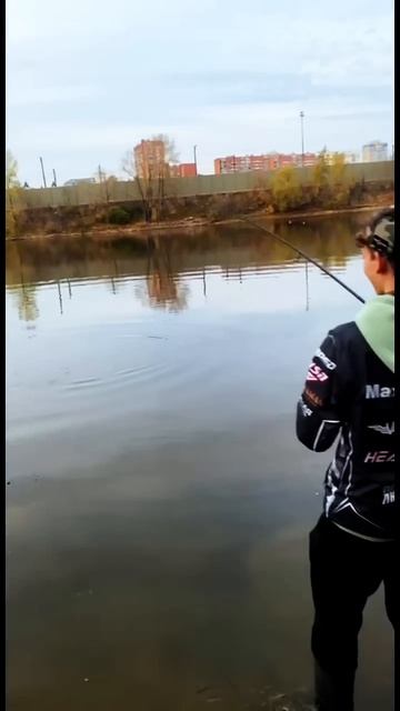 ПОЙМАЛ КРОКОДИЛА 🐊 #рыбалка #fishing #щука #рекомендации