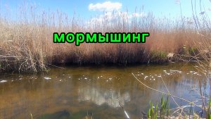 Рыбалка на мормышку, в поисках карася