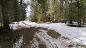 Вот так и живём... Апрель 2026 года. Вторая половина