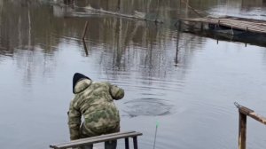 Светлые Горы Форель6 01.05.2026г.