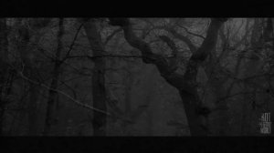 ЗАШЁЛ В ЛЕС И ИСЧЕЗ... Страшные истории на ночь