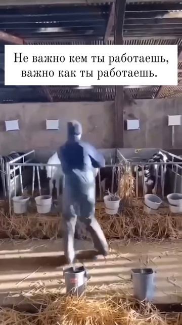 Как ты работаешь