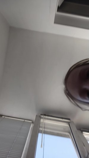 влог