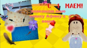 ЗНАКОМЛЮ МОЮ КОШКУ АФИНУ с ВАМИ!