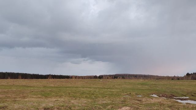 Вечер на поле ( 30 апреля)