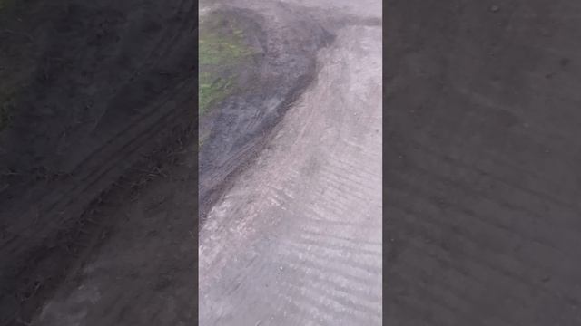 1000056286.mpа смотреть онлайн