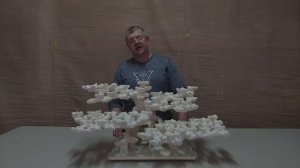 ДФ-406 Декорация для морского аквариума из биокерамики.