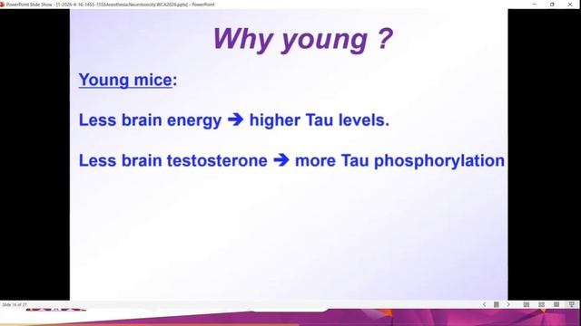 L.14.03 Neuroscience