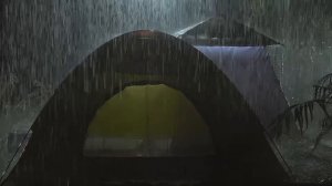 Дождь в лесу | Шум дождя для сна 1 час | Сильный дождь — глубокий сон | Дождь для расслабления