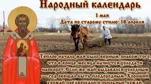 1 мая Народные приметы. пора сеять морковь и свеклу