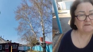 30.04.26 г.Посадила все то что нужно садить в конце апреля.Не по календарю,а как растет береза.