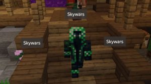 Играю в skywars!