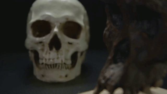 Находки в Египте, которые не могут объяснить ученые.