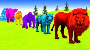 Игра: Длинная горка с 3D животными (корова, слон, горилла, бегемот, тигр). Весело!