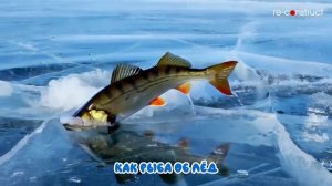 Примеры 3d мультипликации