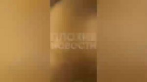 В Москве посетительница устроила драку из-за собаки в кафе.

Молодой человек пришёл в заведение с ма
