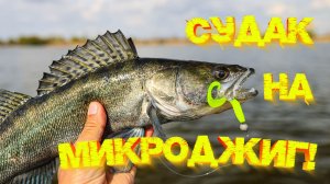 Судак на МИКРОДЖИГ 💪 Открыл водно-вёсельный сезон 👍👍👍