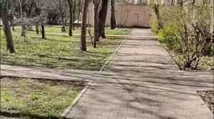 ЕСТЬ ОДНО ПРАВИЛЬНОЕ МНЕНИЕ БЛОГЕРА КОММЕНТАТОР МОЛЧИ