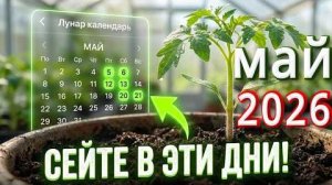 НЕ САЖАЙ В ЭТИ ДНИ! ПОСЕВНОЙ КАЛЕНДАРЬ МАЙ 2026 + КАК ВЫРАСТИТЬ ГИГАНТСКУЮ МАЛИНУ