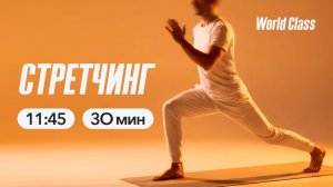 СТРЕТЧИНГ 30 мин с Ангелиной Казанцевой | 2 мая 2026| Онлайн-тренировки World Class
