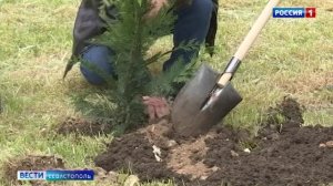 В Севастополе появилась аллея на улице Молодых строителей