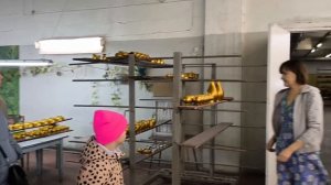 Семёнов. Фабрика « Золотая хохлома «. Нижегородская область.