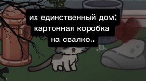 про бездомных животных это моё первое видео...