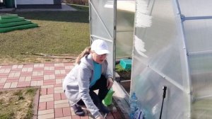 Подкормила плодовые деревья, посадила Дыни и Огурчики на рассаду! 🙂👍