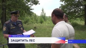 Особый противопожарный режим ввели в лесах Нижегородской области