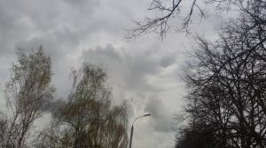 прогноз