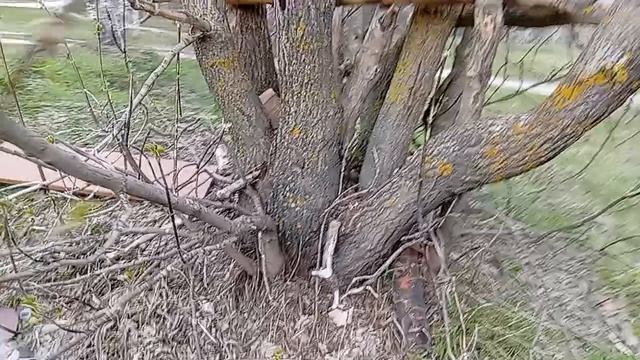 шалаш смотреть онлайн