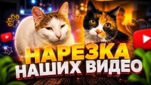 Нарезка наших видео.