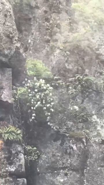 Уковский водопад — один из самых красивых и мощных водопадов Прибайкалья