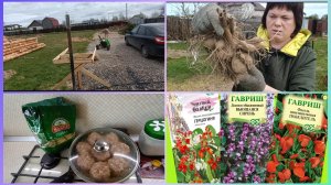 Георгины.Гнезда из макарон.Ужин