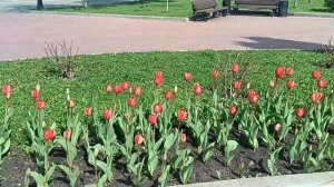 **КАЖДЫЙ САМ СЕБЕ КУЗНЕЦ*«ШИКАРНО.КЛАССНО.ПРОСТО.ОТЛИЧНО.         ЗАТОПЛЕННЫЙ ПЛЯЖ. НАБЕРЕЖНАЯ.