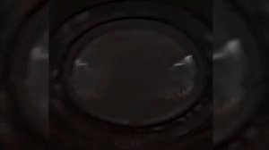 1000001827.mp4