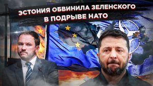 «Раскол в стане врага: Эстония неожиданно встала на сторону России и обвинила Зеленского во вранье»