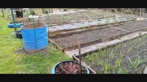 Жизнь на пенсии. Готовлю курник из слоеного теста. Погода не дает работать.