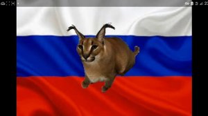 песня польская корова