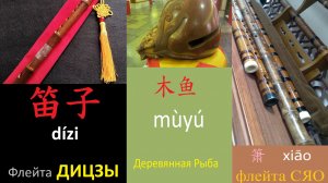 Традиционная Китайская музыка в музее Эрмитаж-Сибирь 🇨🇳