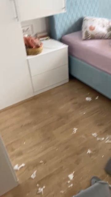 Персик на охране дома