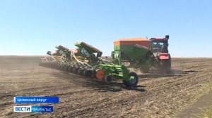 Курганские аграрии начали посевную кампанию с уборки подсолнечника в Целинном округе